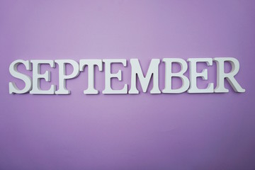 September alphabet letter with space copy on purple background
