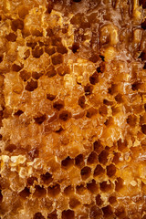 Melezitose / melicitose it is a nonreducing trisaccharide sugar in honey - .crystallized , granulated honey