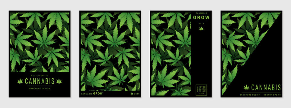 Set of vector cover templates with cannabis leaves for business, advertising, exhibition, party and etc.