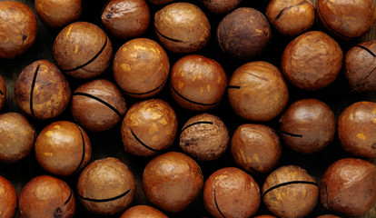 Background from macadamia nuts closeup
