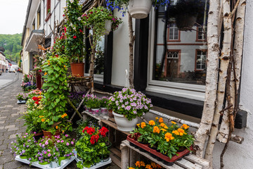 Fototapeta na wymiar Blumen in der Altstadt von Blankenheim
