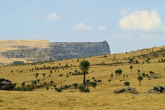 Ethiopia. The Road Leading To Mount RAS Dashen.