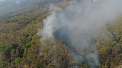 aerial view forest fire smoke on the slopes hills. wild fire in tropical forest, Indonesia. natural disaster fire in Southeast Asia