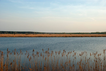 Landschaft mit Schilf in flacher Bucht von Jurmala, Lettland