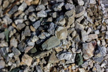 Stone rock background texture, gray stone road. Rubble, macadam background texture close up. Natural environmental background texture. 