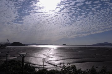Sunlights reflect off the wet mudflat and tidal channel during the ebb tide.