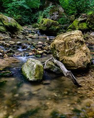stream in forest, Mullerthal Luxembourg