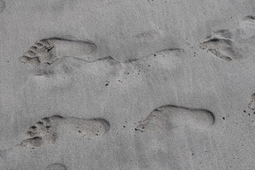 footprints in the sand