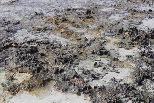 Mare, oceano