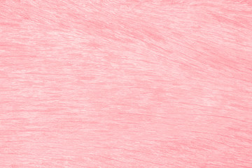 The Pink wood texture with natural patterns.
