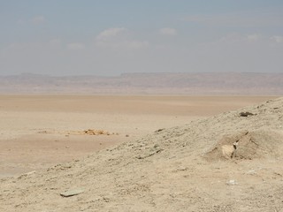 Chott el Djerid, also spelled Sciott Gerid and Shott el Jerid, is a large endorheic salt lake in southern Tunisia.