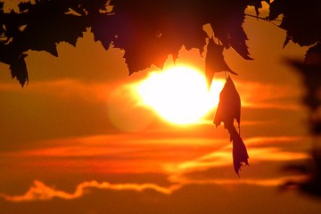 silhouette of man on sunset background of the sky