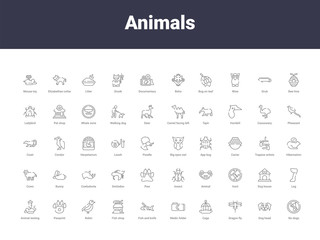 animals outline icons