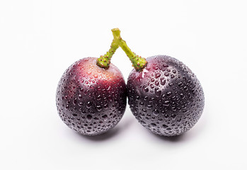 Two fresh purple grapes