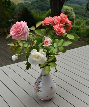 Vari&eacute;t&eacute; de couleurs pour ce bouquet de roses du jardin blanche orange rose rouge m&eacute;lange subtil de couleurs et de parfums