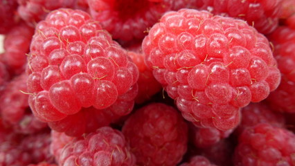 ripe raspberry fruit background