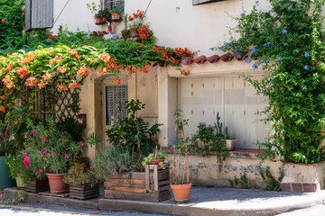 France Provence street, ancient houses with green plant and blooming flowers