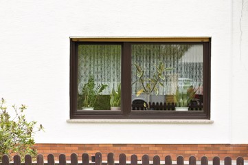 Isolated black window in a white wall with plants and curtains (Germany, Europe)