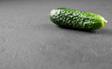 fresh cucumber on gray background