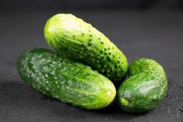 fresh cucumber on gray background