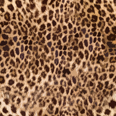 Seamless leopard skin pattern design