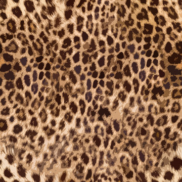Seamless leopard skin pattern design