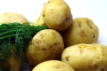 Boiled potatoes with peel and dill on white background