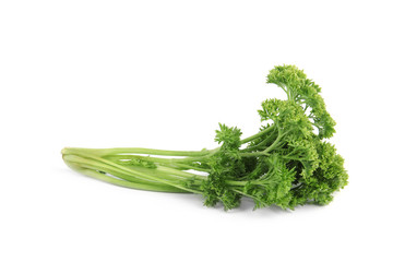 Fresh green organic parsley on white background