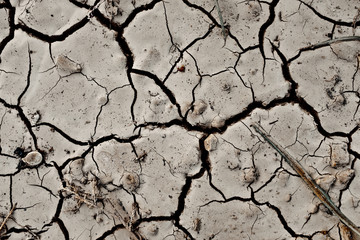 Cracked Dry Land Texture