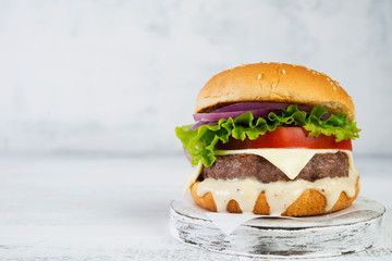 Delicious homemade burgers with beef Patty and vegetables