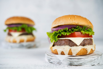 Delicious homemade burgers with beef Patty and vegetables