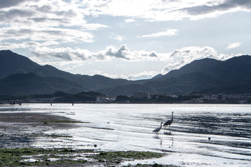 Landscape of Itsukushima (Miyajima) at low tide in the background of Hatsukaichi and mountains.