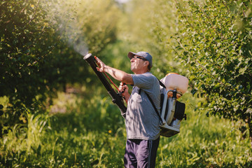 Caucasian mature peasant in working clothes, hat and with modern pesticide spray machine on backs...