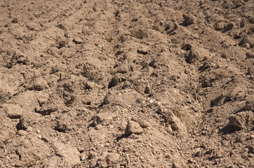 Brown soil on farm ready to sow