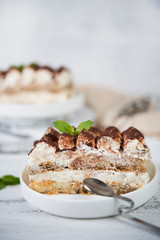 Homemade tiramisu cake on a light background