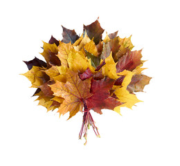 Autumn leaves bouquet isolated on white background, fresh floral fall flat lay composition with empty space for your design, overhead top view, copy space, closeup