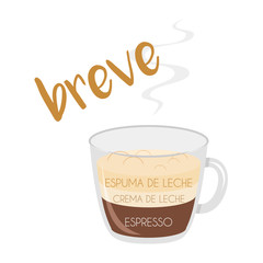 Vector illustration of a Breve coffee cup icon with its preparation and proportions and names in spanish.