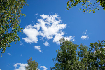 Obraz premium white clouds on a sunny summer sky