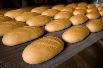 Loaf of bread on the production line in the bakery. - 278185126