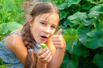 Little cute girl with a long braid, eating a cucumber plucked from the garden