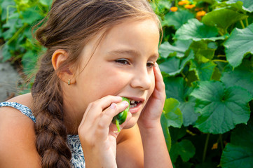 Little cute girl with a long braid, eating a cucumber plucked from the garden