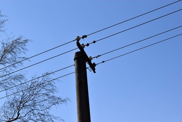 Regional power pole