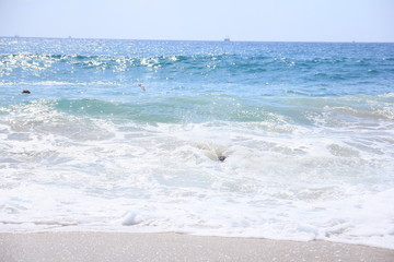 waves on beach sea