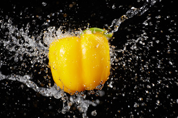 Yellow bell pepper with water splash on black background