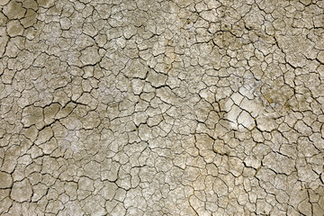 The earth is cracked because of summer drought.