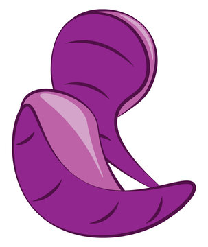 Purple slippers yeah, vector or color illustration.