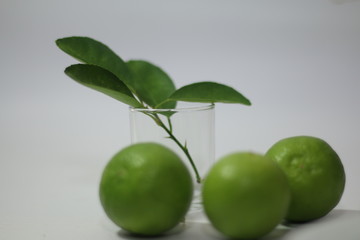 lime leaves