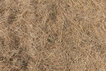 Heu auf der Wiese als Hintergrund und Struktur