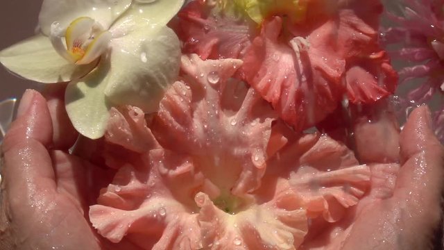 Rain drops falling down on beautiful flowers in woman hands against water surface. Beautiful colorful relax composition. Close up slow motion shot. Top view.