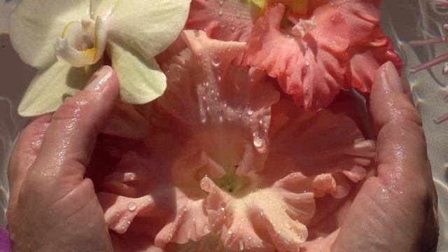 Beautiful romantic flowers in woman hands against water surface. Great colorful relax composition. Close up slow motion shot. Top view.